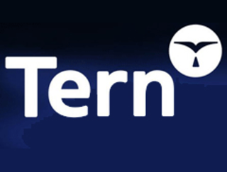 Tern
